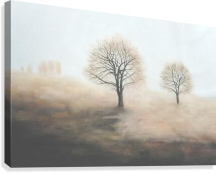 Foggy Canvas Print