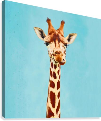 Giraff Canvas Print