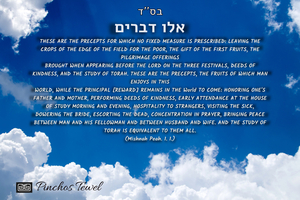 Eiloo Devarim sky PM