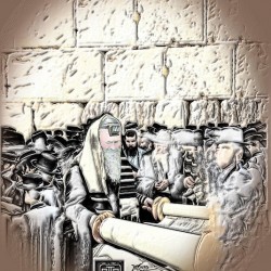 torah at kotel 