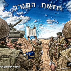 art  army torah lifting 7