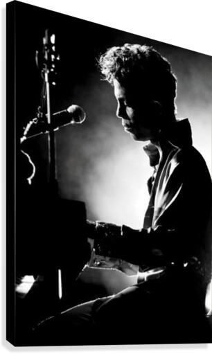 When doves cry Canvas Print