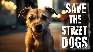 Save the street dogs 5