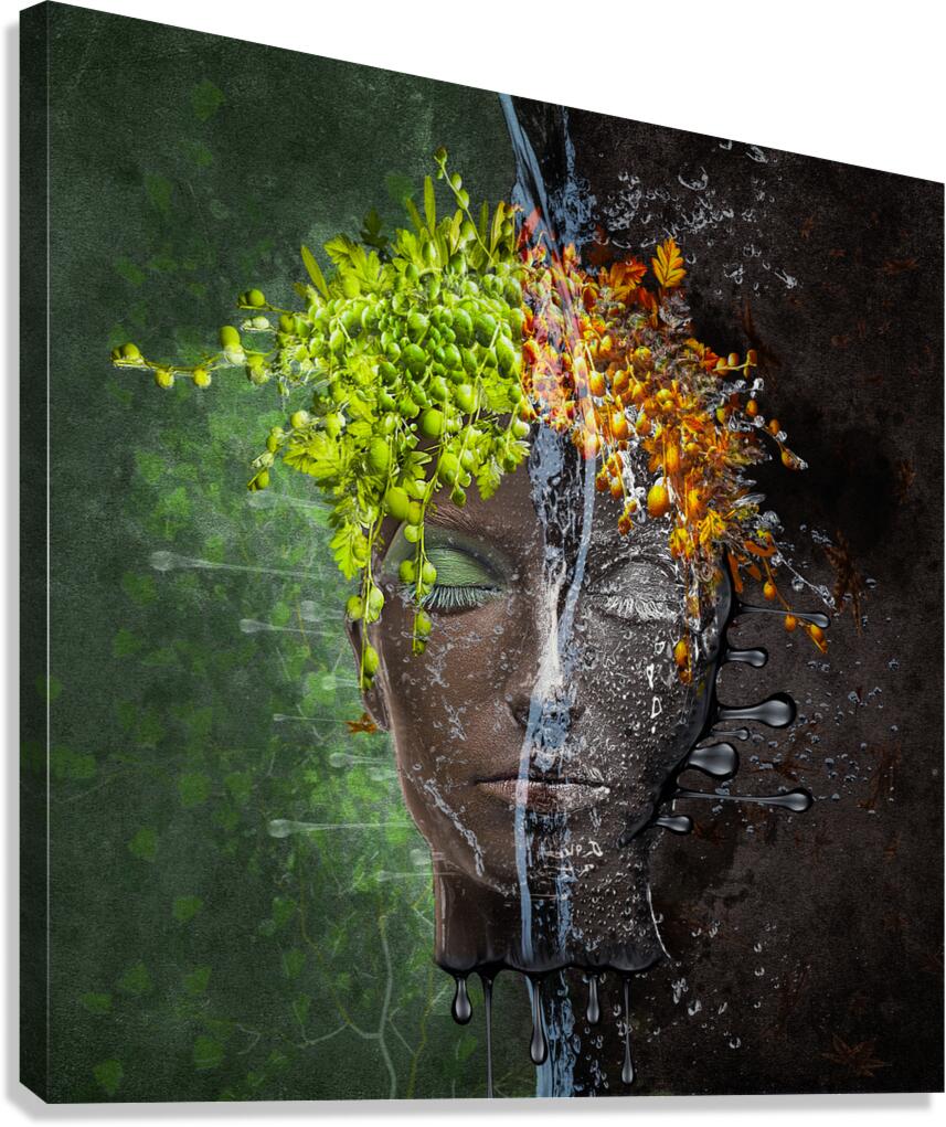 Metomorphosis Canvas Print