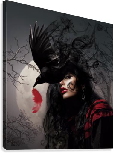 Crow  Canvas Print