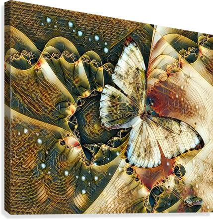 Butterfly Canvas Print