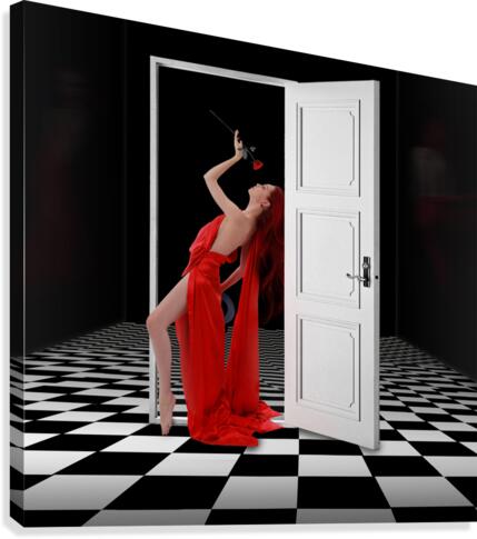 Illusion Canvas Print