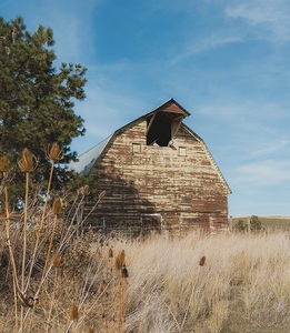 Colfax Barn 3