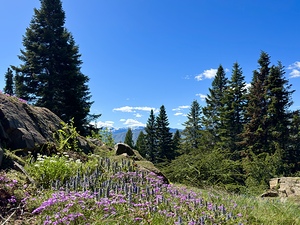 IMG 7790