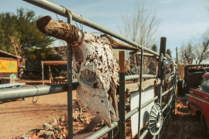 Weathered by Time