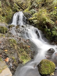 Oregon Waterfall