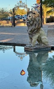 Reflection at the gate -1