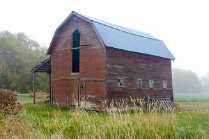 Barn in the mist 2
