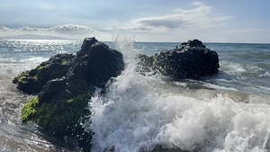 IMG 0939