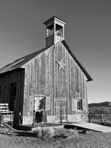 IMG 3694