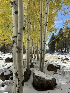 IMG 9853