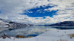 Winter Cove -2