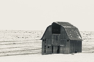 IMG 4090