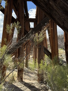 Under the Trestle