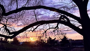 Purple and Orange