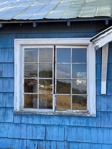 IMG 4841