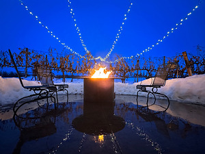 Winter Wine