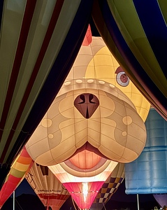 Peek A Boo