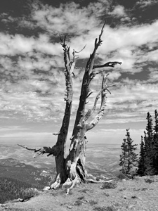 Wenatchee Overlook - black and white