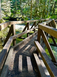Bend in the Forest
