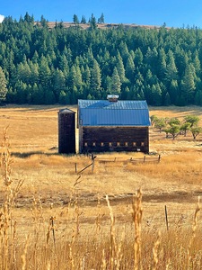 IMG 4867