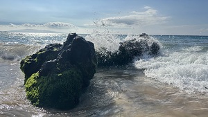 IMG 0941