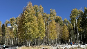 IMG 9898