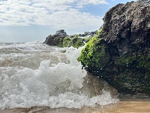 IMG 0842