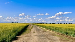 Country Road