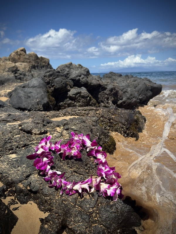 Live Aloha Print