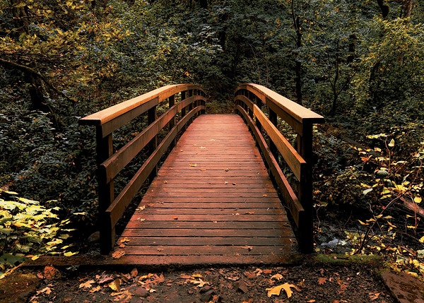 Bridges / Tunnels