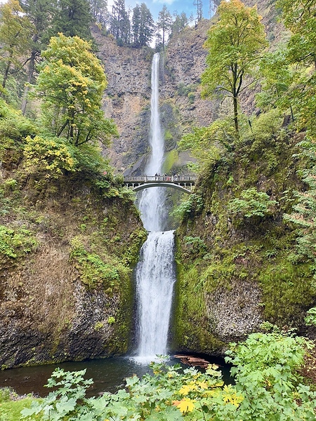Waterfalls