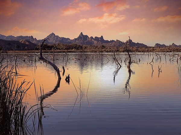 Arizona 