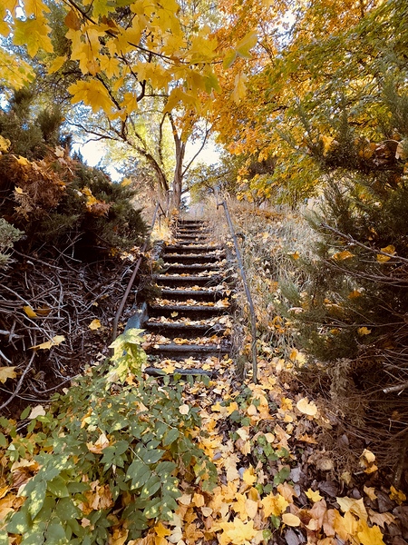 Autumn Staircase