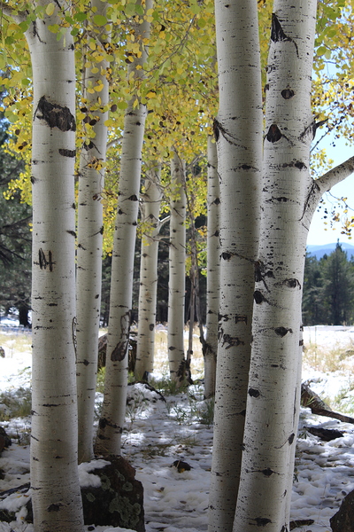 IMG 4713 by Leslie Affeldt Photography