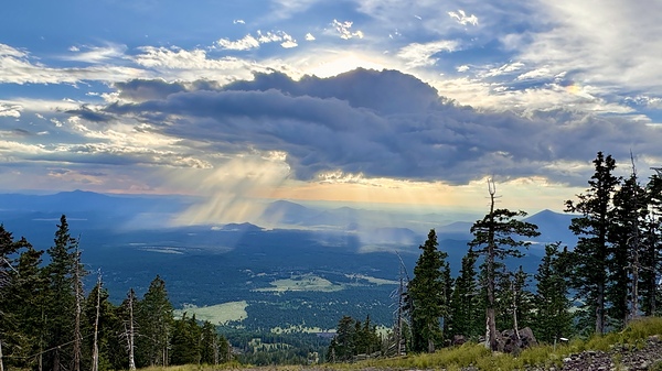 Monsoon Season -1