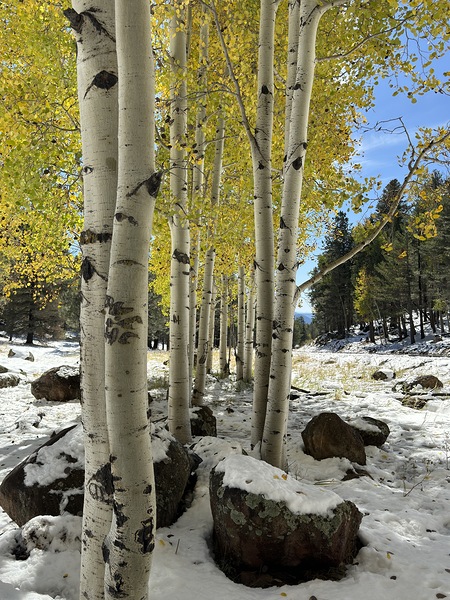 IMG 9853 by Leslie Affeldt Photography