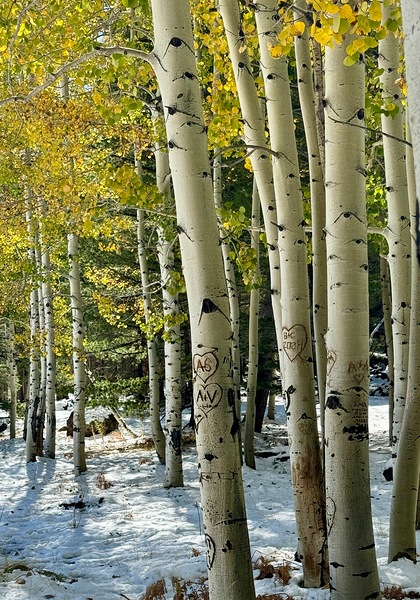 IMG 9827 by Leslie Affeldt Photography