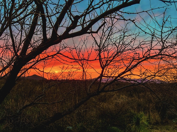 Colors of the Desert