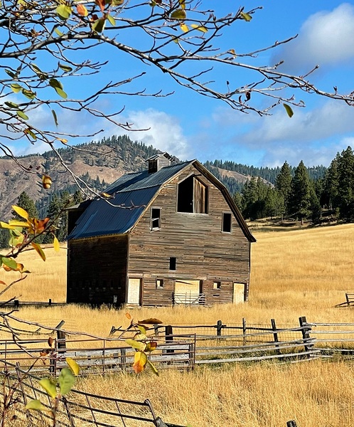 Barns / Farm