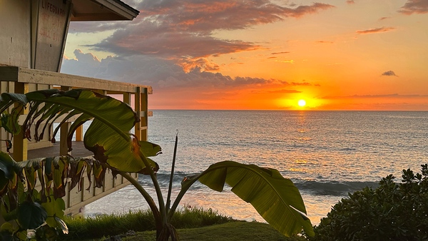 Beauty of Maui -2