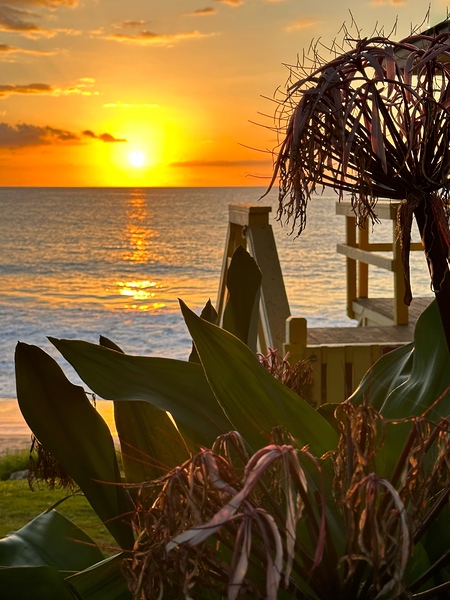 Beauty of Maui Print