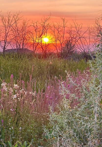 Sunset on Silica Road
