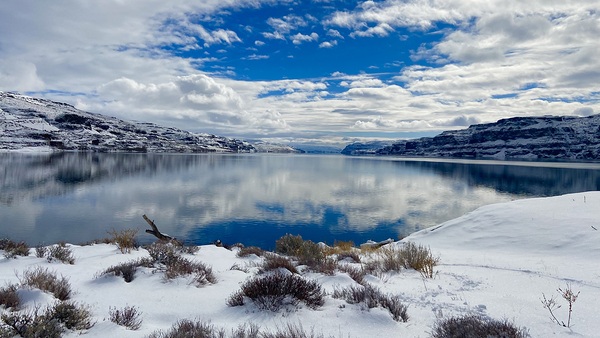 Winter Cove Print