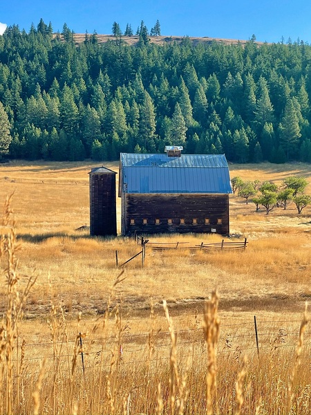 Dunford Barn 4 by Leslie Affeldt Photography